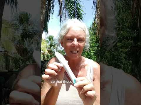 The Bite Away Insect Bite/Sting Healer Pen