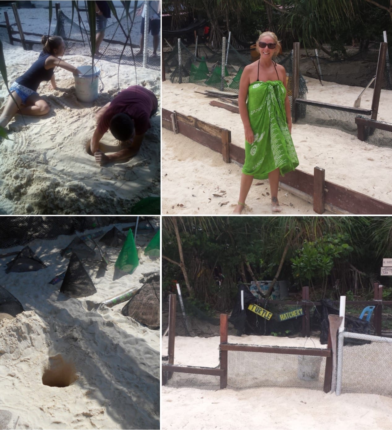 Sea Turtle conservation. Turtle Hatchery at Bubbles Sanctuary The Backpacking Housewife