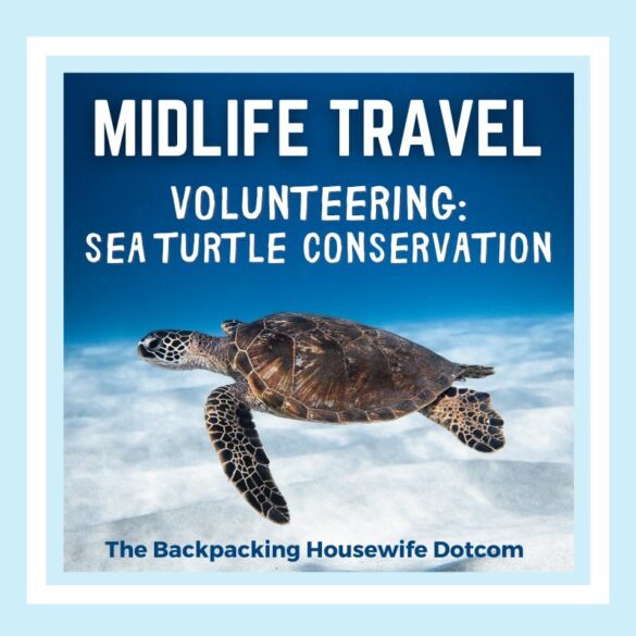 midlife travel sea turtle conservation volunteer