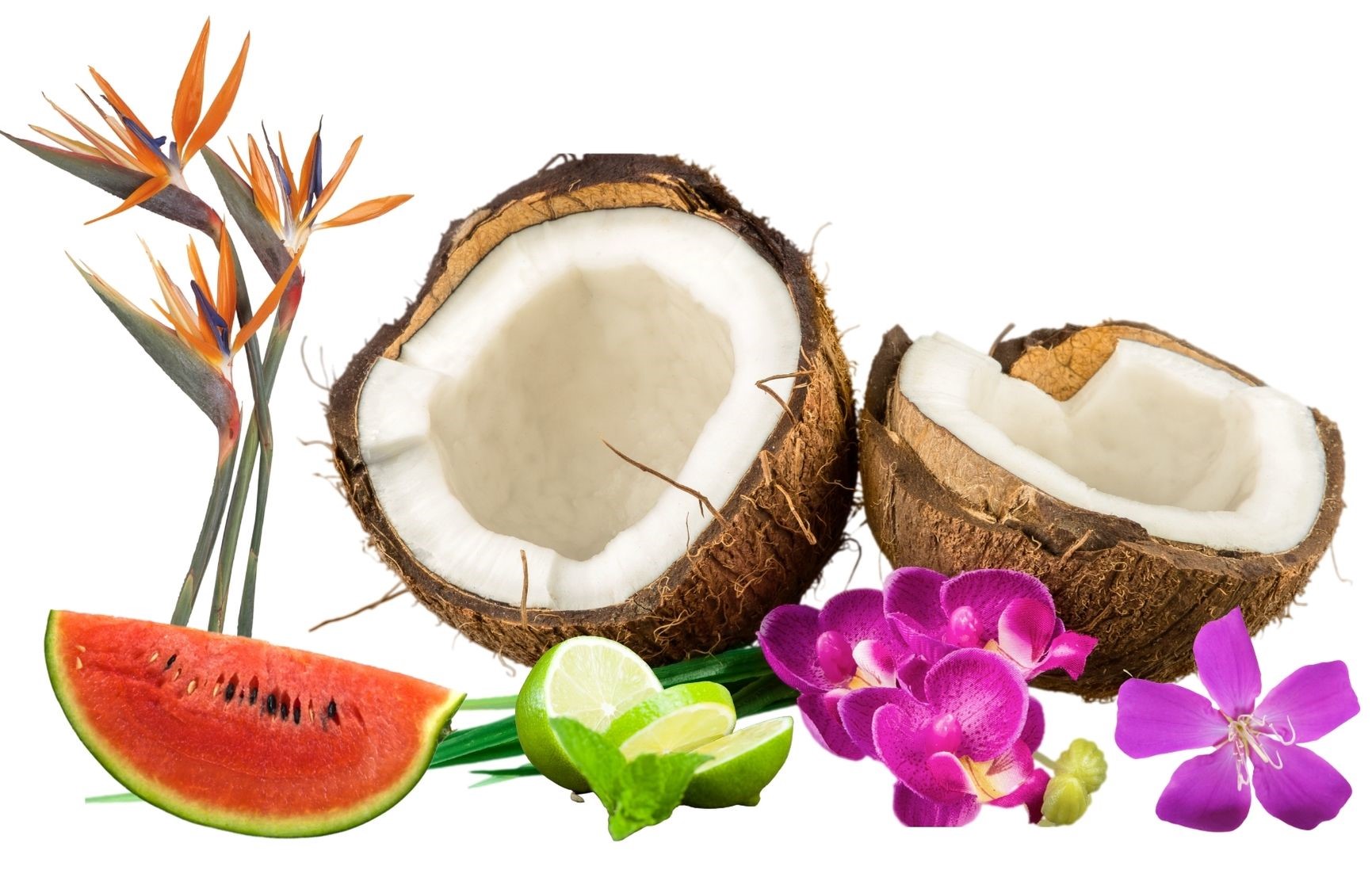 25 Affordable Perfumes That Smell Like The Beach The Backpacking