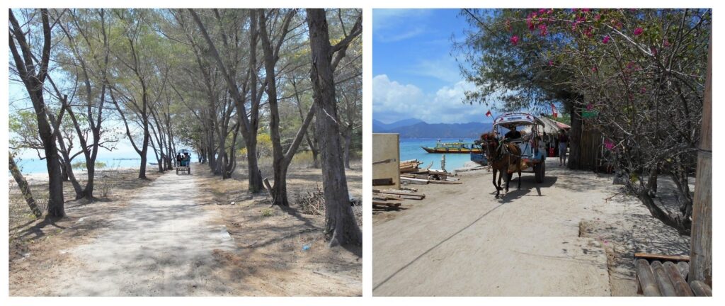 We took a pony and trap taxi to our resort on Gili Meno
