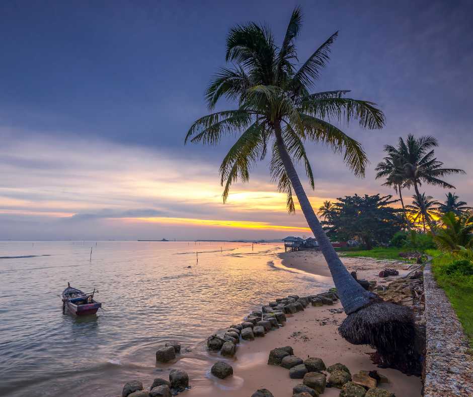 palm tree and beach at batam island at sundown